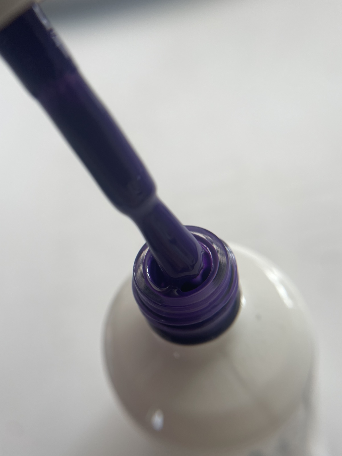 Purple #276