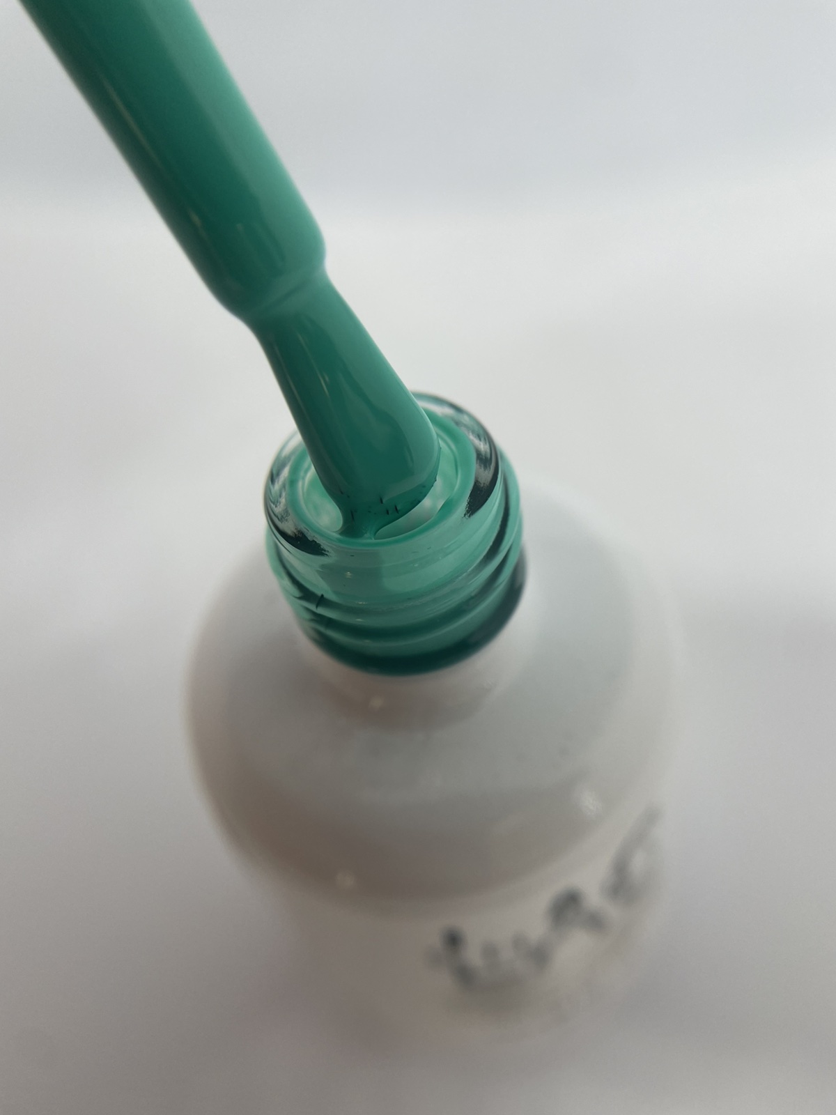 Turquoise #439