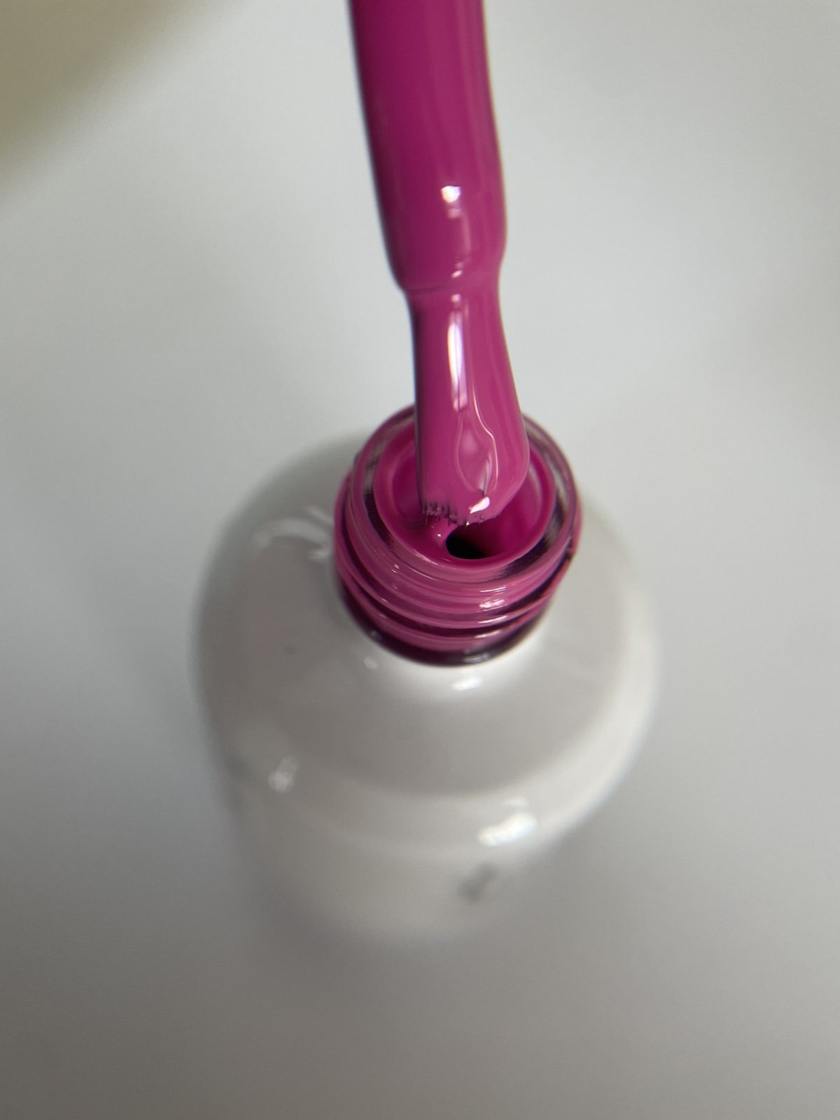 Violet #610