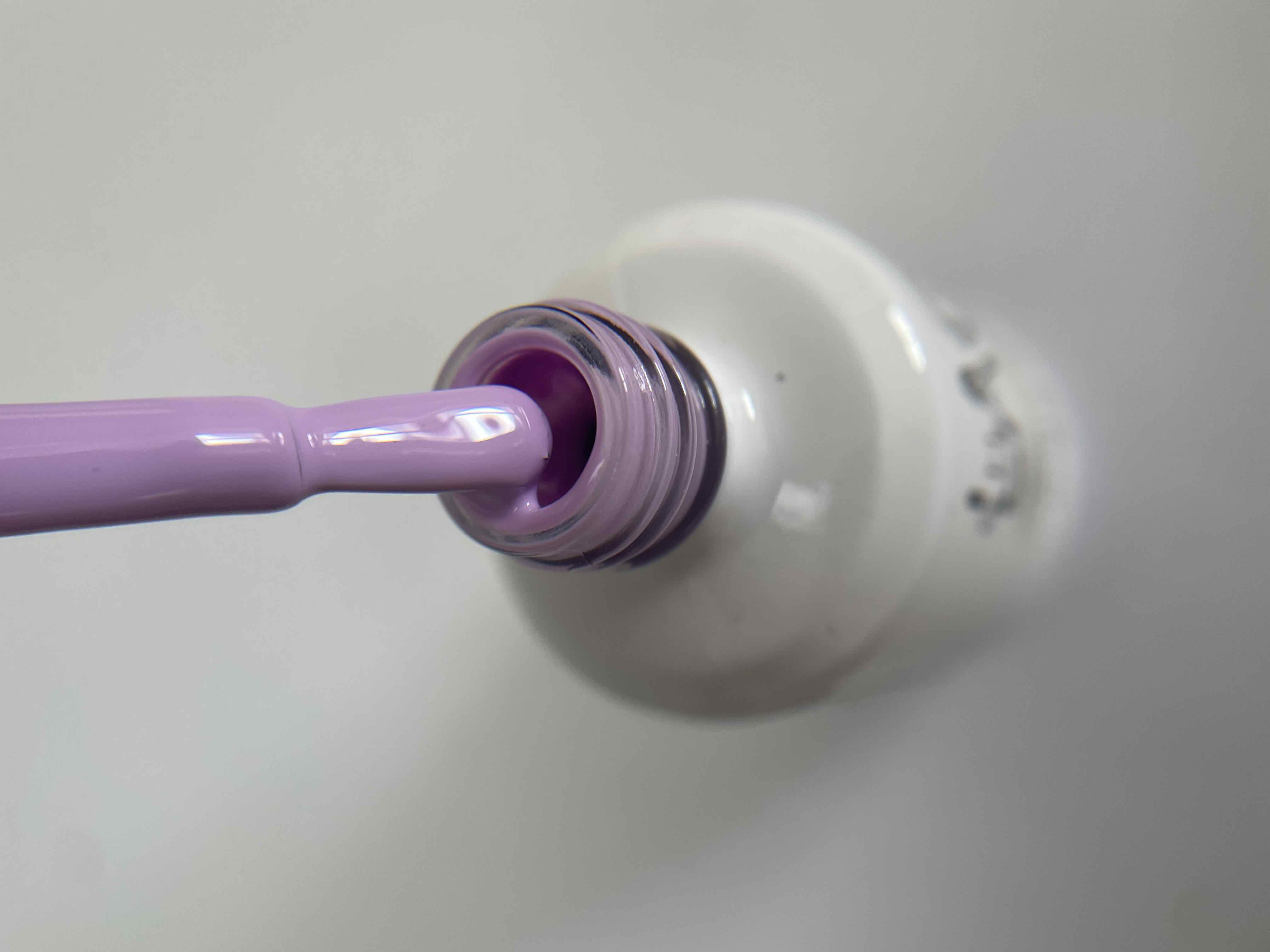 Purple #262