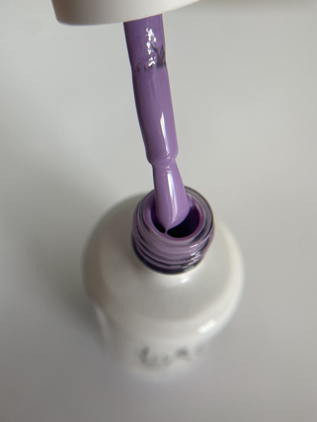 Purple #265
