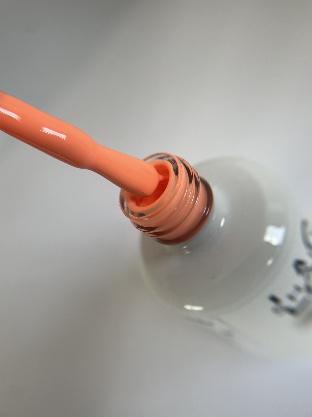 Peach Fuzz #401