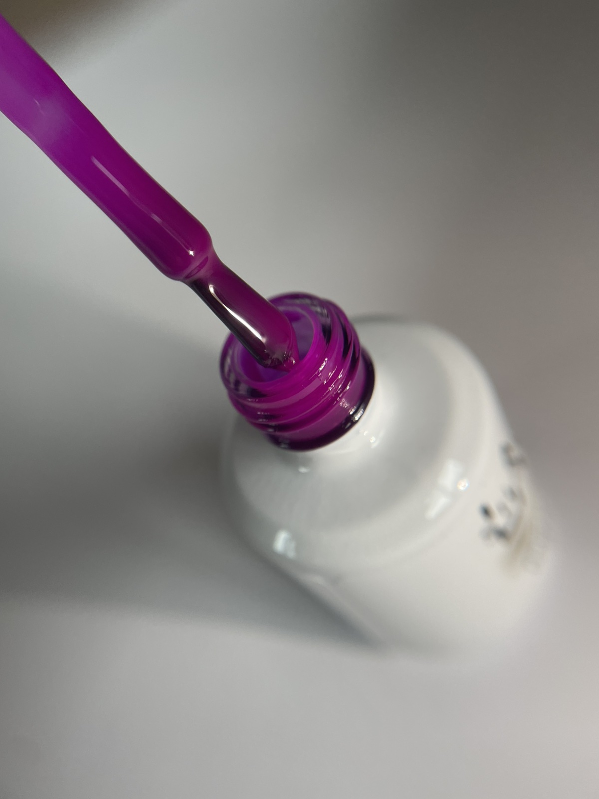Violet #142