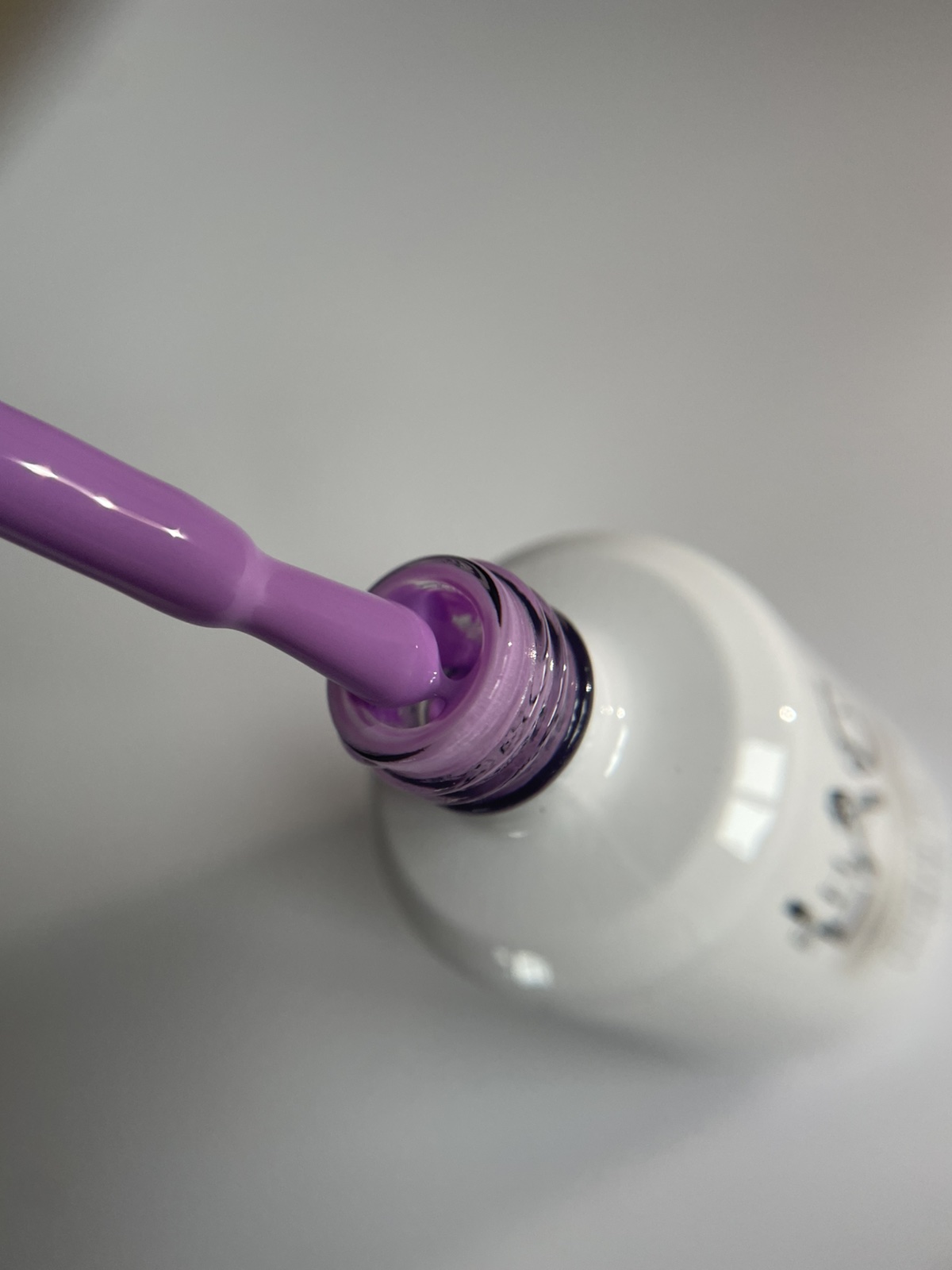 Violet #453