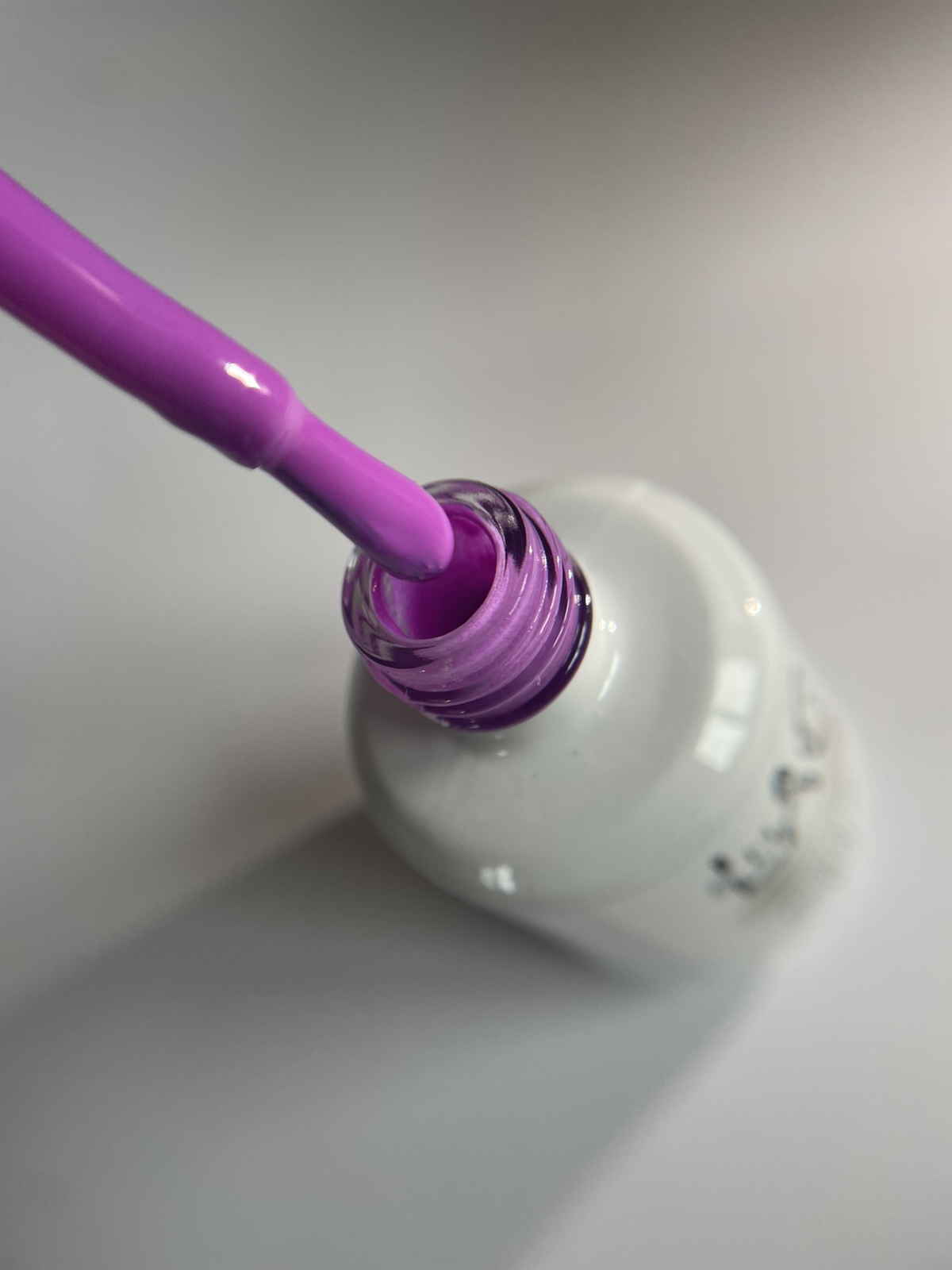 Violet #461